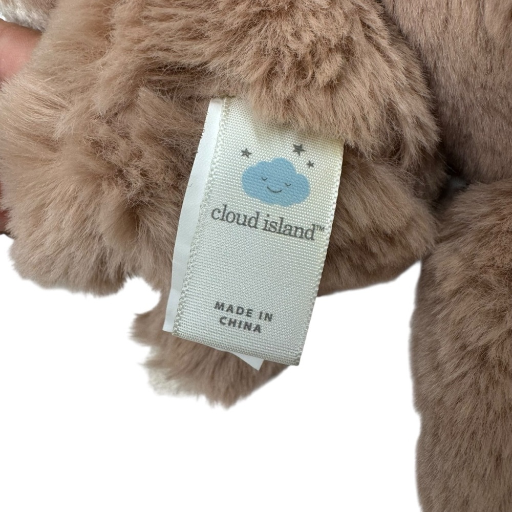 Cloud Island Sloth Mom and Baby Plush Rattle Stuffed Animal Toy Target Brown - Picture 7 of 9